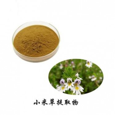 小米草提取物-小米草黃酮-匯能達植提廠家供應-小米草萃取粉