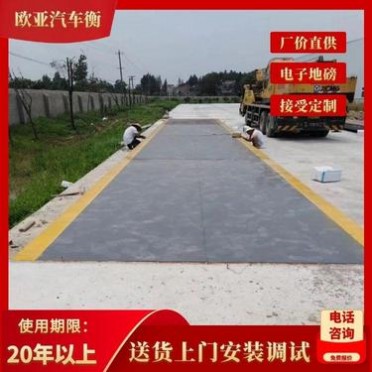 南京地磅 工地地磅秤歐亞 南京50噸-**噸汽車衡價格優惠